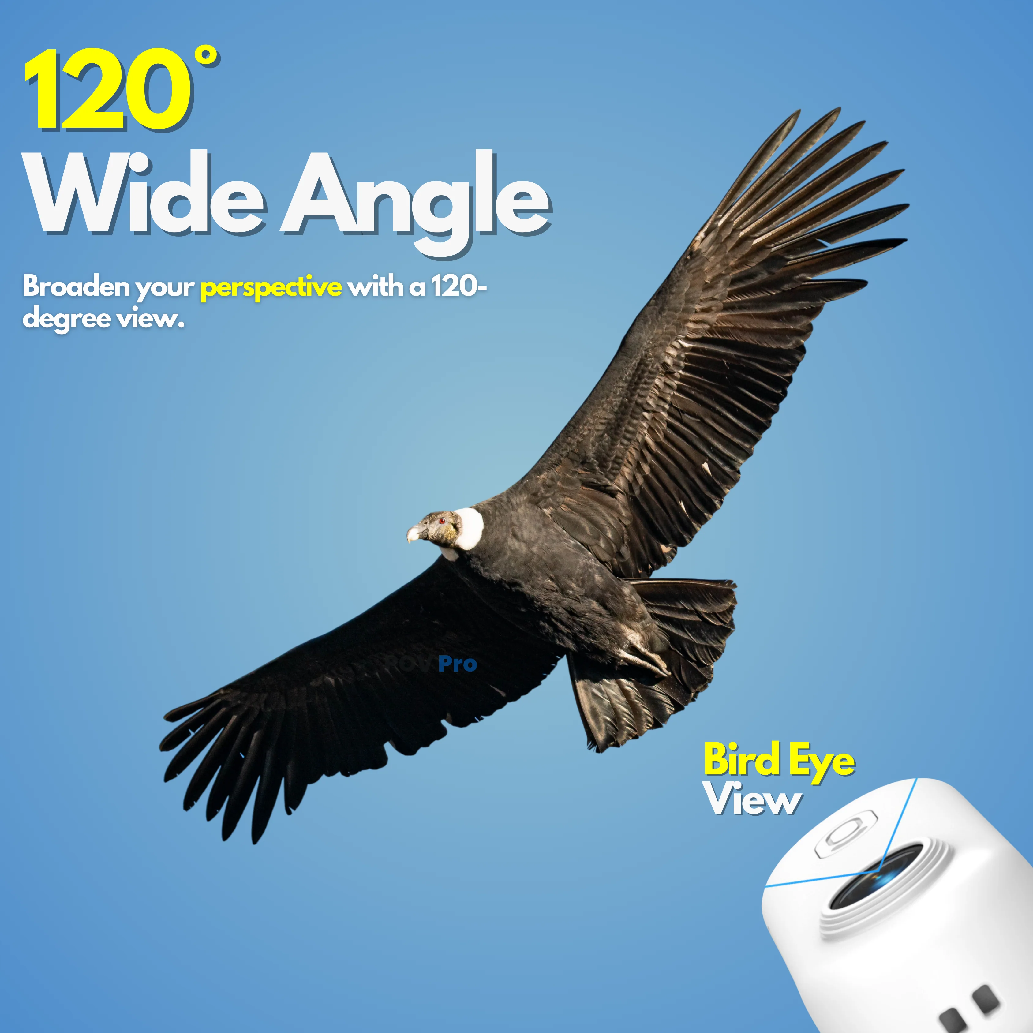 POV Pro - Image 24